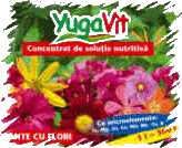 Yugavit 1  - Soluie nutritivã pentru PLANTE CU FLORI