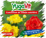 Yugavit 5  - Soluie nutritivã pentru TRANDAFIRI