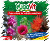 Yugavit 6  - Soluie nutritivã pentru CACTUI I PLANTE SUCULENTE